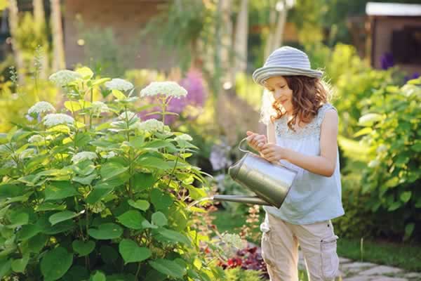 Add these perennials to make your yard look beautiful year after year.